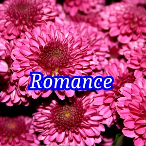 Album Romance from Varios Artistas