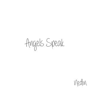 อัลบัม Angels Speak ศิลปิน Nedin