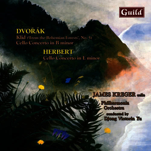 Concerto No. 2 for Cello & Orchestra in E Minor, Op. 30: Allegro