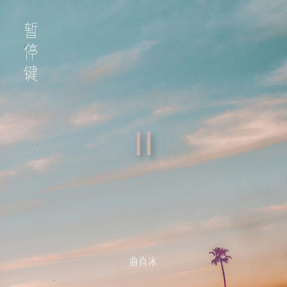 暂停键 (完整版)