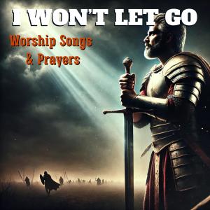Worship Songs的專輯I Won't Let Go (Explicit)