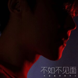Album 不如不见面（早就过期的誓言） from 周潇齐