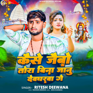 Listen to Kaise Jaibau Tora Bina Janu Devgharwa Ge song with lyrics from Ritesh Deewana