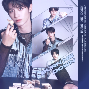 Album Burn Me Down from AMAO阿毛