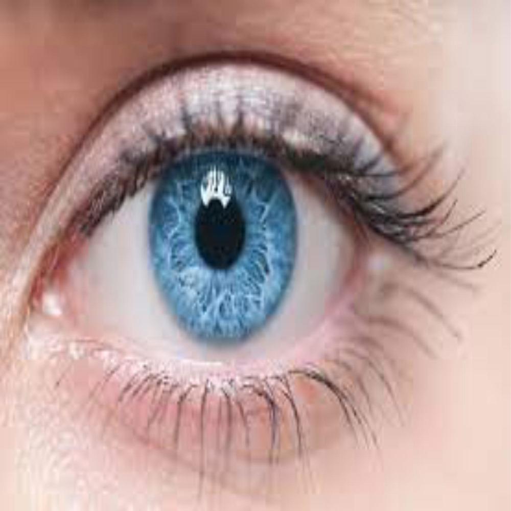 Ojo por ojo