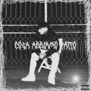 Album Cosa abbiamo fatto (Explicit) from ToyMala
