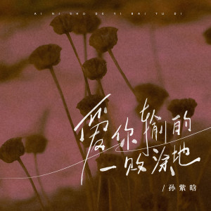 爱你输的一败涂地 dari 孙紫晗