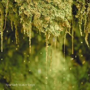Album Sparkling Water Drips from 