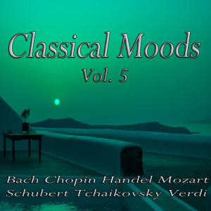 Bath Festival Orchestra的專輯Classical Moods Vol. 5 