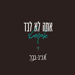 Listen to אתה לא לבד (אקוסטי) song with lyrics from אביב בכר