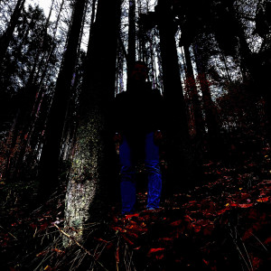 default album img