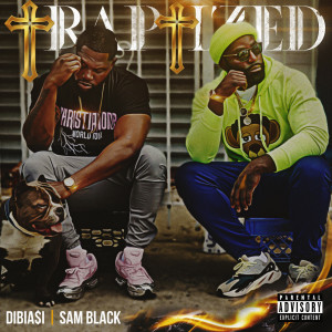 Listen to Party & Bullshit (Explicit) song with lyrics from Dibiasi