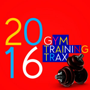 อัลบัม 2016 Gym Training Trax ศิลปิน 2016 Gym Music