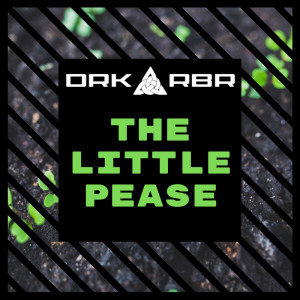 Listen to The Little Pease song with lyrics from DRK RBR