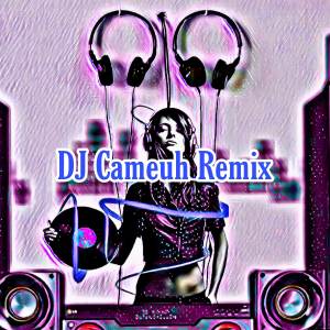 ดาวน์โหลดและฟังเพลง Already Gone (Remix) พร้อมเนื้อเพลงจาก DJ Cameuh