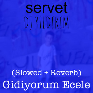Listen to Gidiyorum Ecele (Slowed + Reverb) (Slowed|Reverb) song with lyrics from Servet