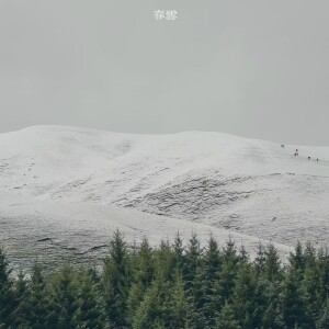 Album 春雪 from 柳不贰