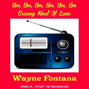 收聽Wayne Fontana的Groovy Kind of Love歌詞歌曲