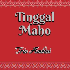 Trio Ambisi的专辑Tinggal Maho