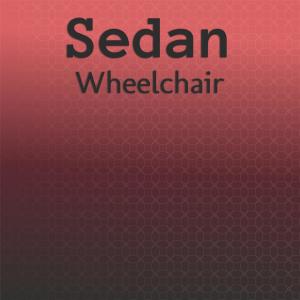 Various Artists的專輯Sedan Wheelchair