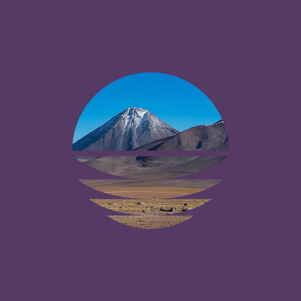 Desert Flamingos IV