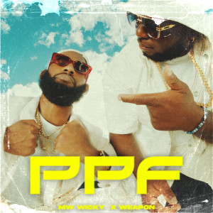 Listen to PPF song with lyrics from MW Wicky