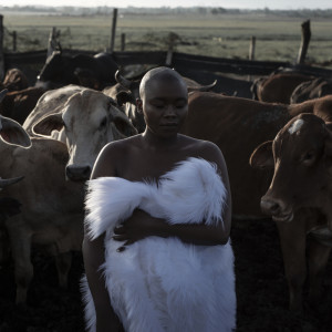 Listen to COS COS YAPHELA song with lyrics from Zoe Modiga