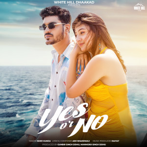 Ndee Kundu的专辑Yes Or No