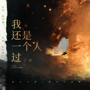 Album 我还是一个人过 from 广智