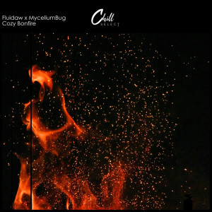 收聽Fluidaw的Cozy Bonfire歌詞歌曲