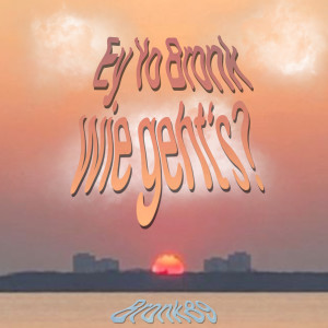 Listen to Ey Yo Bronk Wie Gehts ? (Explicit) song with lyrics from Bronk89