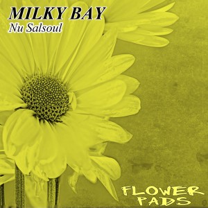 Album Nu Salsoul (Nu Ground Foundation Soul Mix) from Milky Bay