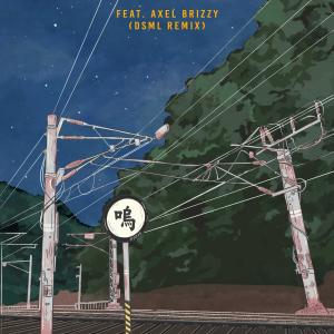 Listen to Wu Wu (feat. Axel Brizzy, DSML) [DSML Remix] (DSML Remix) song with lyrics from 鹅
