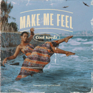 Album Make Me Feel (Explicit) from Cool Keedz
