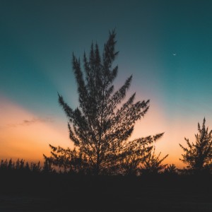 Listen to The Stars Come out song with lyrics from Stepan Arutinian
