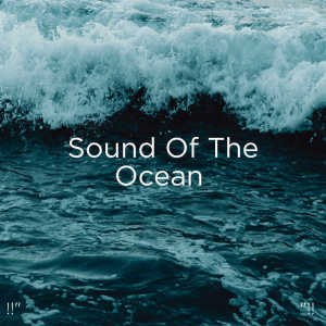 ดาวน์โหลดและฟังเพลง Fast Ocean พร้อมเนื้อเพลงจาก Ocean Sounds