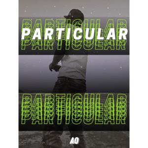 Album Particular (Explicit) from AO