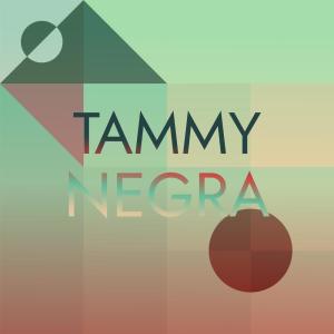Listen to Tammy Negra song with lyrics from Moto Mitt