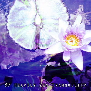 37 Heavily Zen Tranquility
