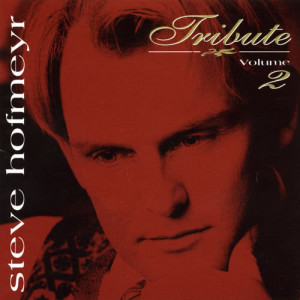 ดาวน์โหลดและฟังเพลง You've Lost That Loving Feeling พร้อมเนื้อเพลงจาก Steve Hofmeyr