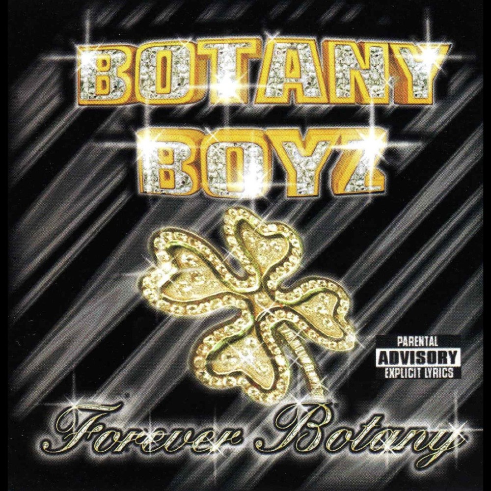 My Piece Shine Brite (feat. Lil’ Flip) (Explicit)
