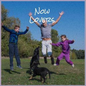 Various的专辑Now Lovers