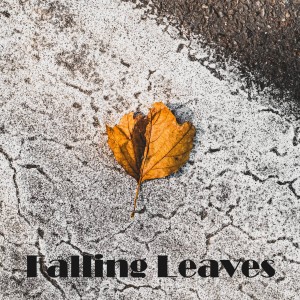 Album Falling Leaves from 