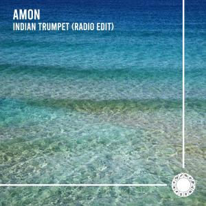 Listen to Indian Trumpet (Radio Edit) song with lyrics from Amon