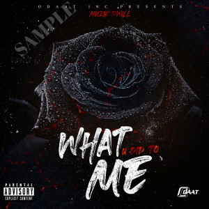 Album What U Did to Me (Explicit) from Muzik D-Will