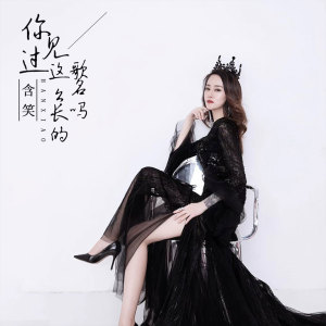 ดาวน์โหลดและฟังเพลง 你见过这么长的歌名吗 พร้อมเนื้อเพลงจาก 含笑