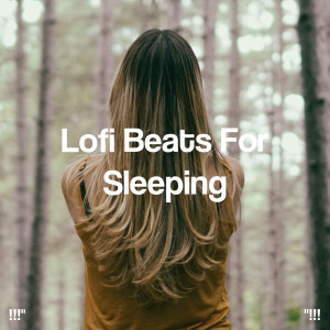 ดาวน์โหลดและฟังเพลง Euphoric Chill พร้อมเนื้อเพลงจาก Lo-Fi Beats