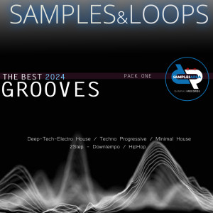 Album SAMPLES&LOOPS - The best 2024 GROOVES (Pack ONE) from Danirava Records Samples Area