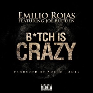 Emilio Rojas的专辑B*tch is Crazy (feat. Joe Budden) - Single (Explicit)