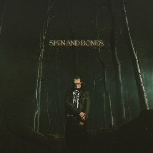 อัลบัม Skin and Bones ศิลปิน David Kushner